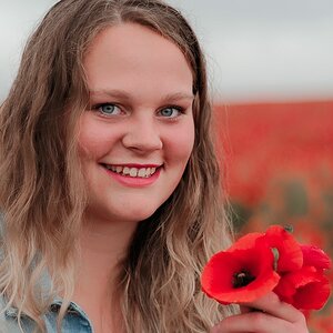 Mohn  IV