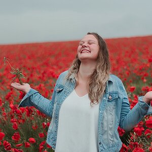 Mohn V