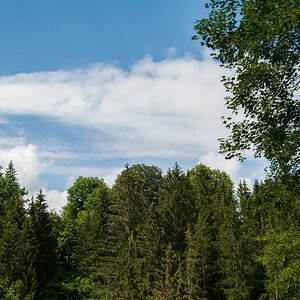 DSC_0030.jpg