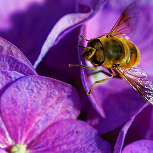 Z50_1380_DxO.jpg