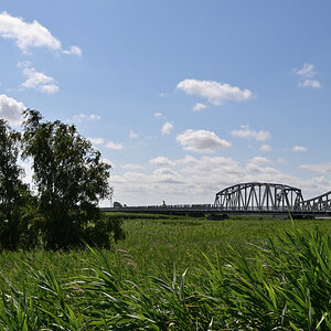 DSC_8319.JPG