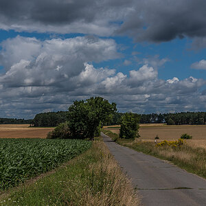 In der Feldmark 2 (1 von 1).JPG