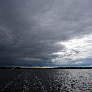 Schlei.jpg
