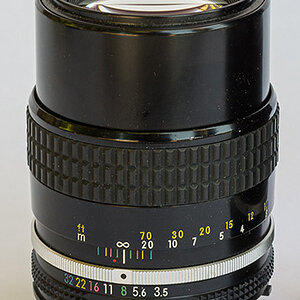 D71_0951x.jpg