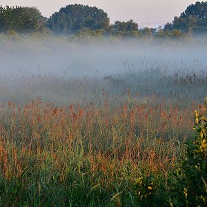 2020_20007.jpg