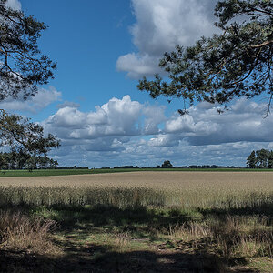 Am Waldrand (1 von 1).JPG
