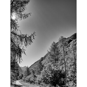 ReDSC_0524.jpg