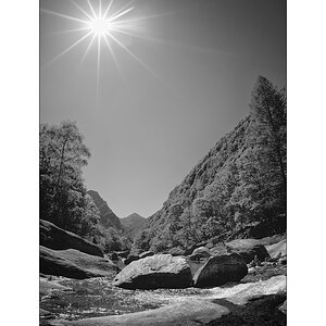 ReDSC_0526.jpg