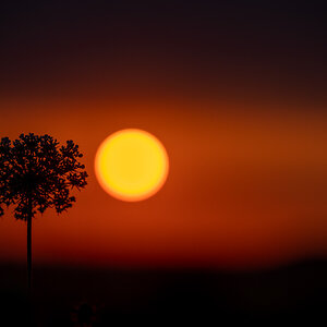 Sonnenaufgang über Rheinhessen