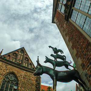 20200707-053.jpg