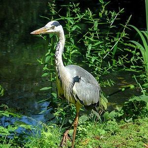 20200713-066.jpg