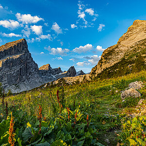 _HAR6242-2.jpg
