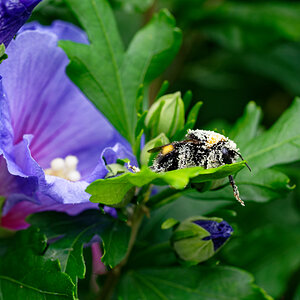 NZ6_5441_DxO.jpg