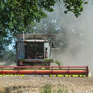 Ernte 2019 Bonese 2 (1 von 1).JPG