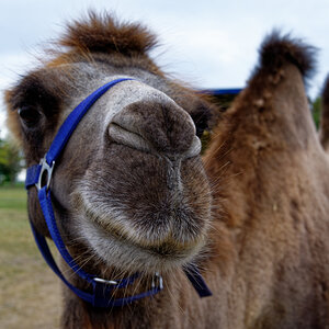 NZ6_5480_DxO.jpg