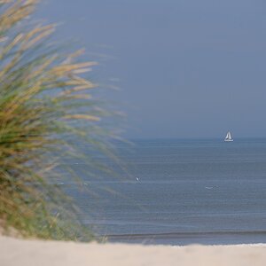 P1024304a_klein.jpg