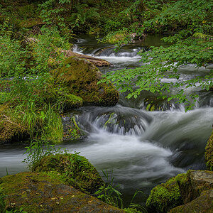 D85_4021.jpg