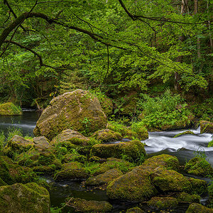 D85_4026.jpg