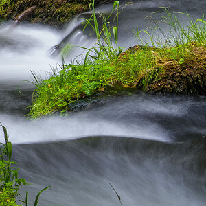 D85_4026x.jpg