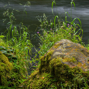 D85_4026y.jpg