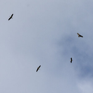 D72_5891_DxO.jpg