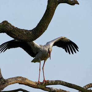 D72_5924_DxO.jpg