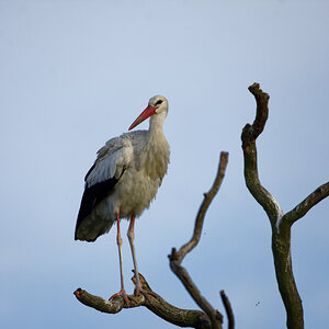 D72_5927_DxO.jpg