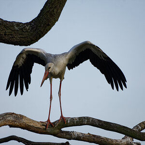 D72_5942_DxO.jpg