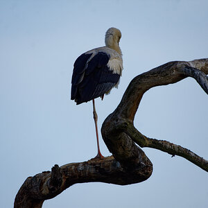 D72_5953_DxO.jpg