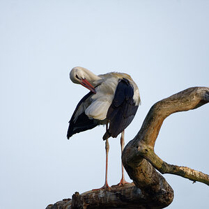 D72_5960_DxO.jpg