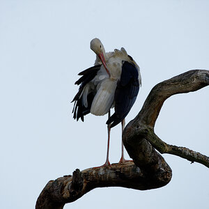 D72_5981_DxO.jpg