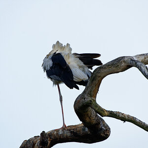 D72_5988_DxO.jpg