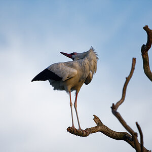 D72_6004_DxO.jpg