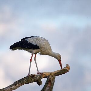D72_6037_DxO.jpg
