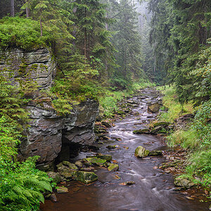 D85_4083.jpg