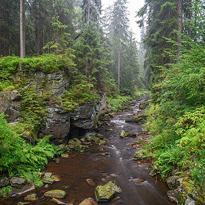 D85_4090.jpg