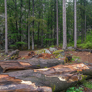 D85_4095.jpg