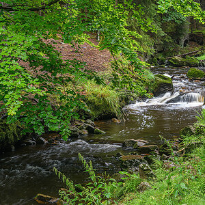 D85_4117.jpg