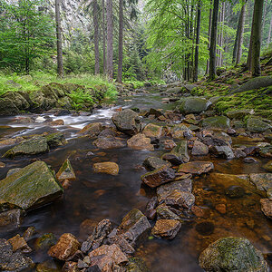D85_4107.jpg