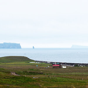Insel Drangey, Island --- DSC_8334FK Kopie.jpg