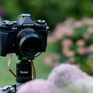 PANA3850_DxO1200.jpg
