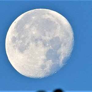 comp_DSC_0639.jpg