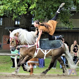 Bissel Zirkus 1.jpg