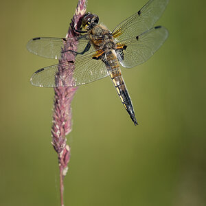 _DSC7727-Bearbeitet-1.jpg