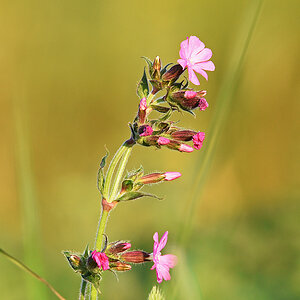 811_6322at0l5fks60p1.jpg