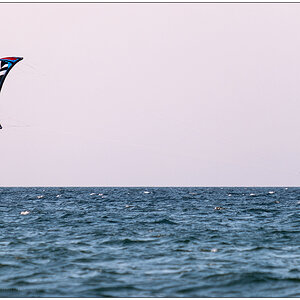 365 Kiter I