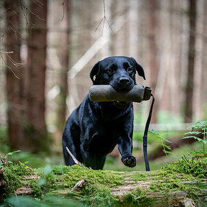 Dummytraining im Wald