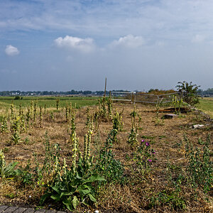 Z50_1698_DxO.jpg