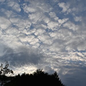 comp_DSC_0661.jpg