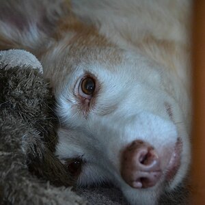 comp_DSC_0266.jpg